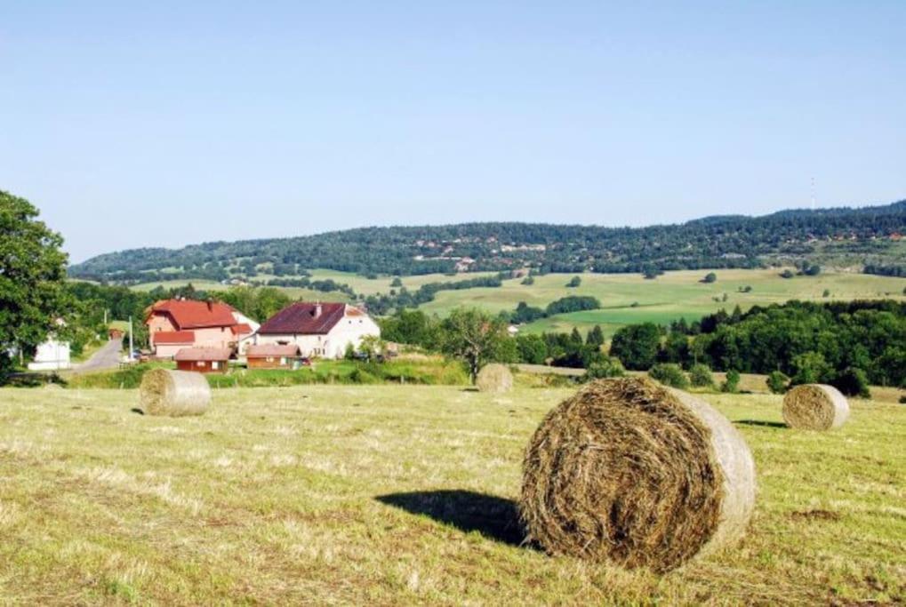 La Maison D'Elodie Foncine-le-Haut Bagian luar foto
